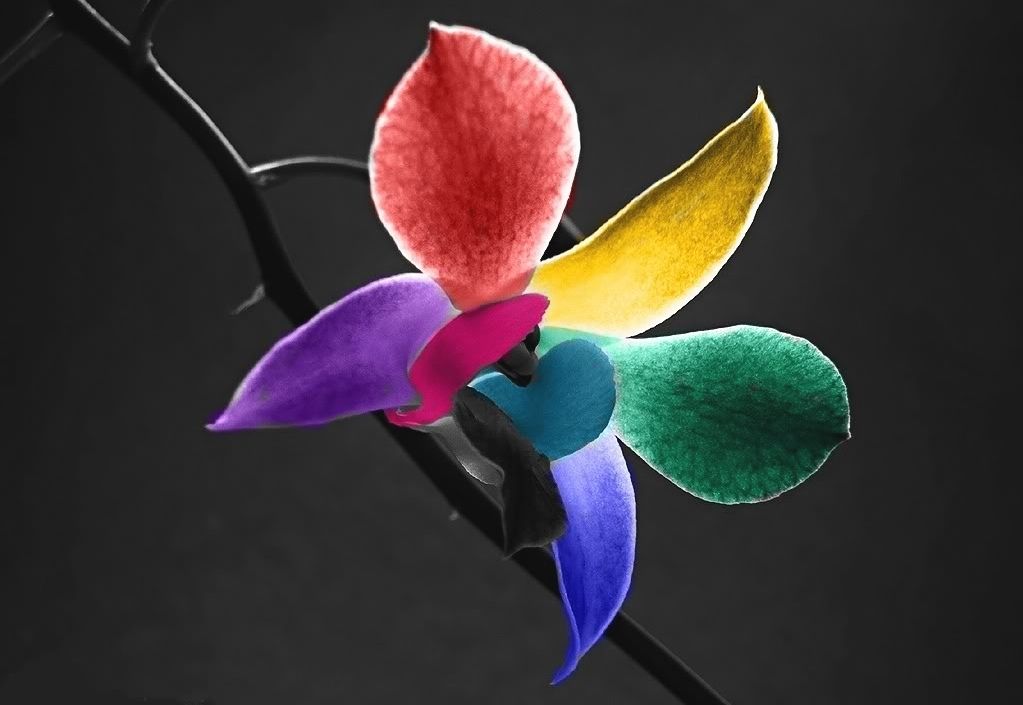 Design no artesanato - Flor arco-íris