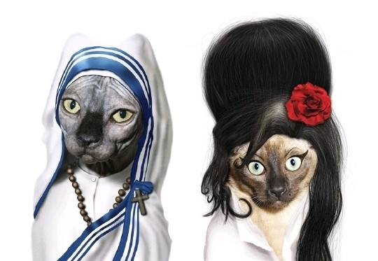 Gatas - Madre Teresa de Calcutá e Amy Winehouse
