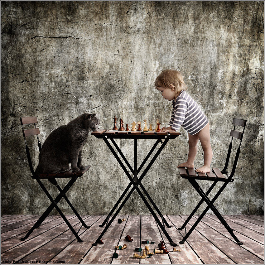 Criança e gato em jogo de xadrez