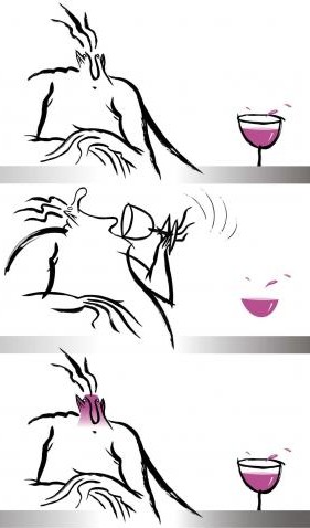 Degustação de vinhos