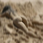 Uma gata escultural e nua na praia. Parece ilusão de ótica