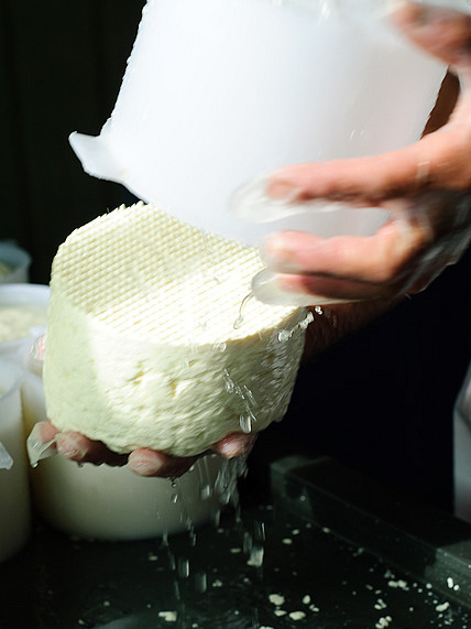Queijo minas fabricação
