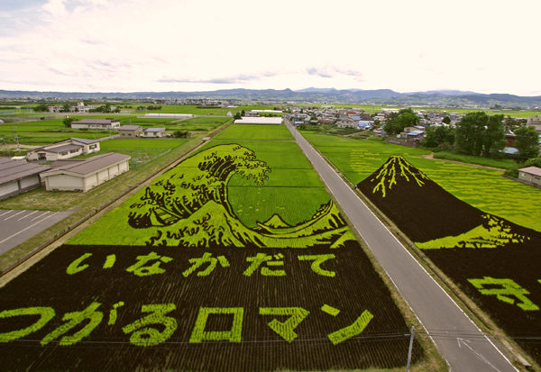 Tsunami - arrozal no Japão