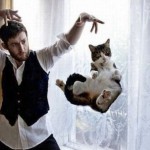 Novas fotos comprovam capacidade de levitação dos gatos