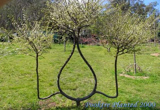 Esculturas em Árvores Jardim Pooktre