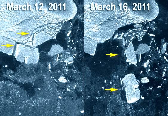 Tsunami no Japão afeta Polo Sul