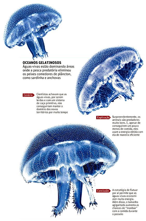 Domínio dos mares