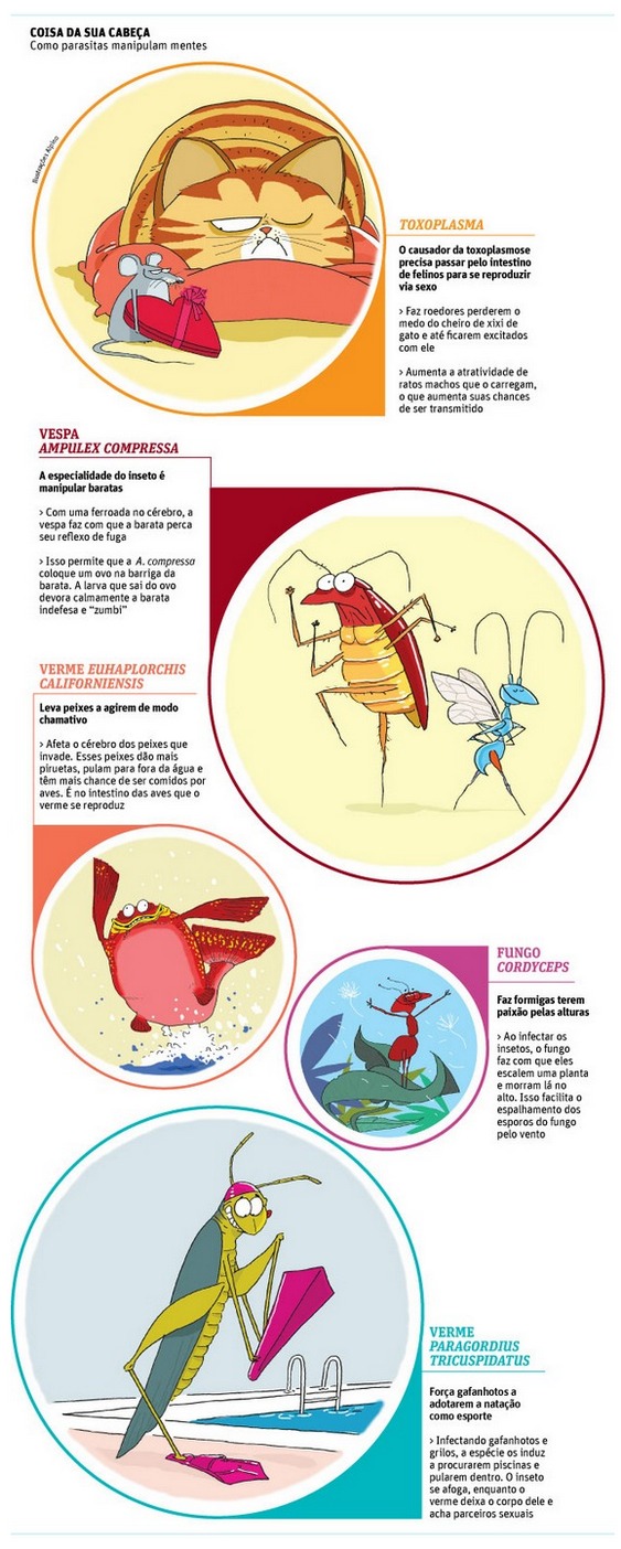 Parasitas no cérebro