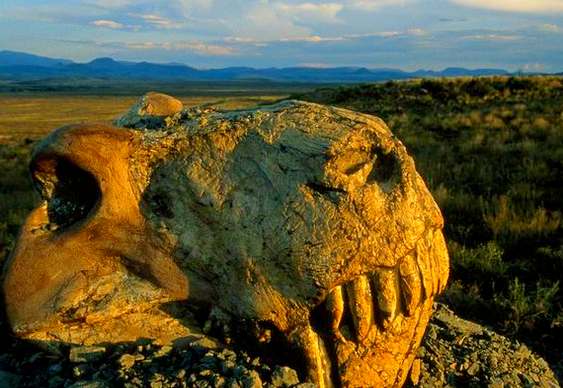 Dinossauro período Permiano