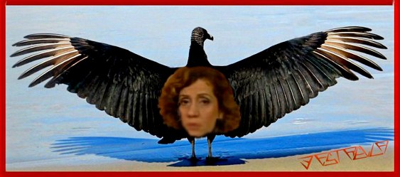 Urubóloga Miriam Leitão