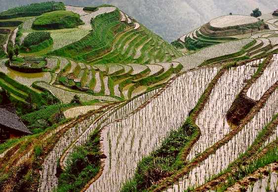 Guilin, Yangshuo e Longsheng