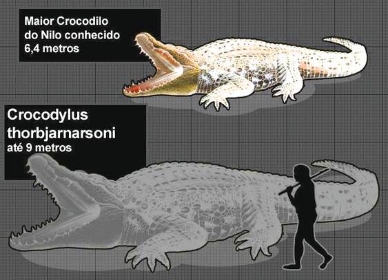 Crocodylus thorbjarnarsoni