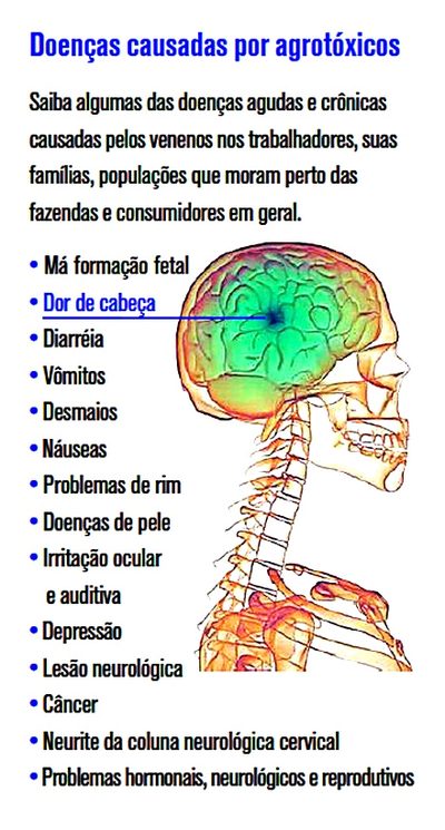 O veneno está na mesa