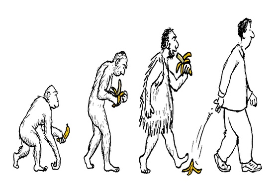 Cascas de banana na evolução humana