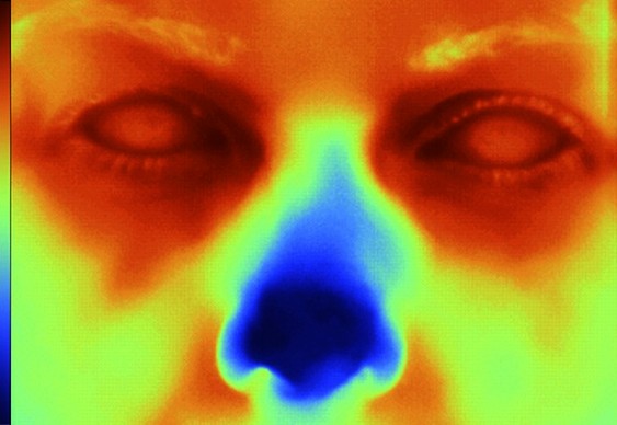 Fotografia termal infravermelha
