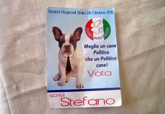 Stefano - cão de Favara, na Itália