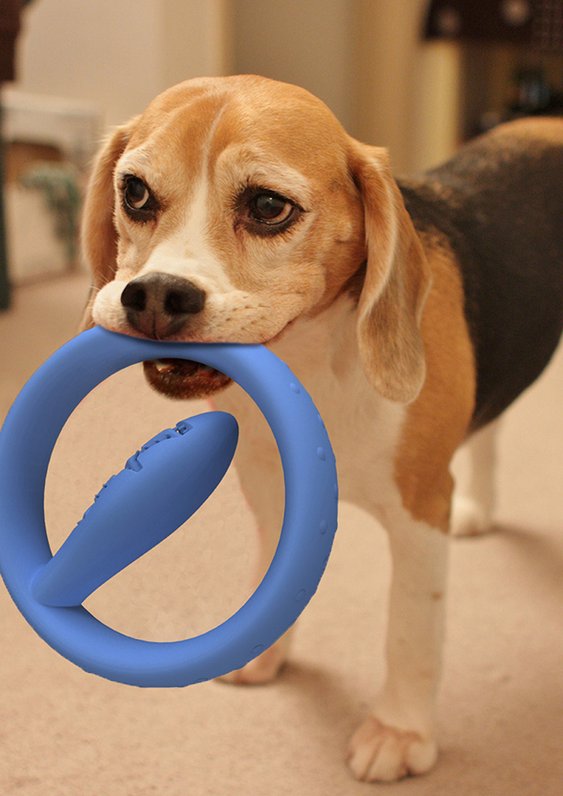 Escova de dentes para cães