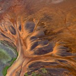 Natureza incrível: ilusão de ótica de uma árvore em pintura abstrata