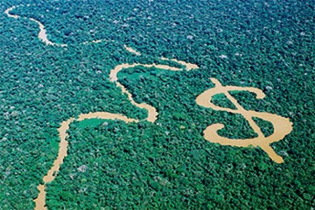 Mercado de Créditos de Carbono Emissões de Carbono