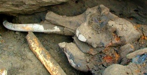 Mamute pré-histórico