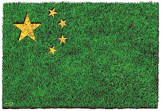 Bandeira da China ecológica