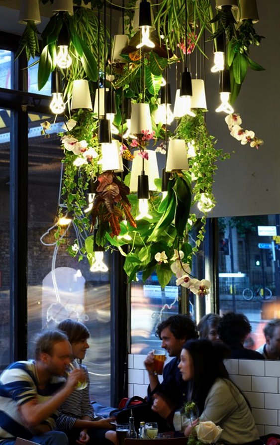 Iluminação para decoração de bares Iluminação com plantas para bares