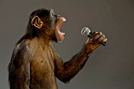 Chimpanzé falando ao microfone