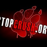 Crueldade do ‘crush fetiche’: tortura de animais em vídeos pornô