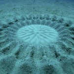 Misteriosa mandala com desenhos geométricos no fundo do mar