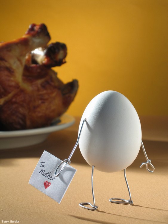 Ovo cozido e Galinha assada