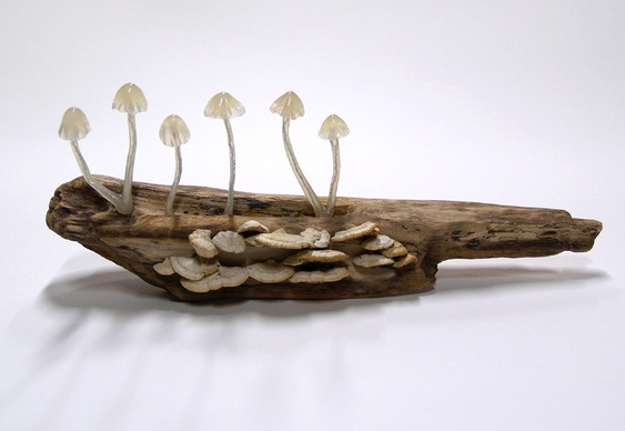 Abajur com Cogumelos