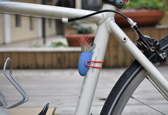 Plantinhas para usar em bikes