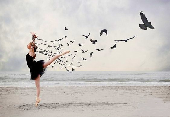 Curta-metragem A Bird Ballet