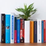 Vaso em forma de livro enfeita com plantas a sua biblioteca