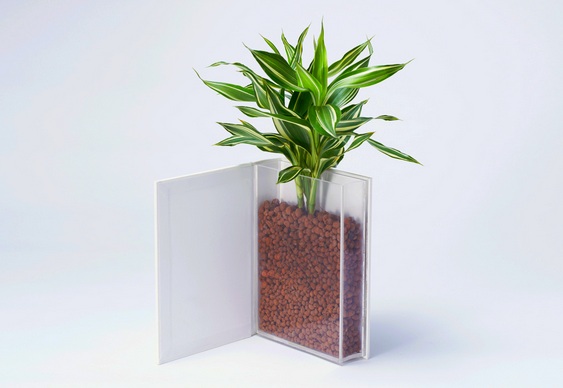Livro - Vaso de planta Vaso de flor em livro