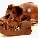 Incríveis crânios de macacos em madeira e cristais Swarovski