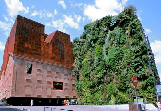 Plantas de edifício Decoração exterior em prédio