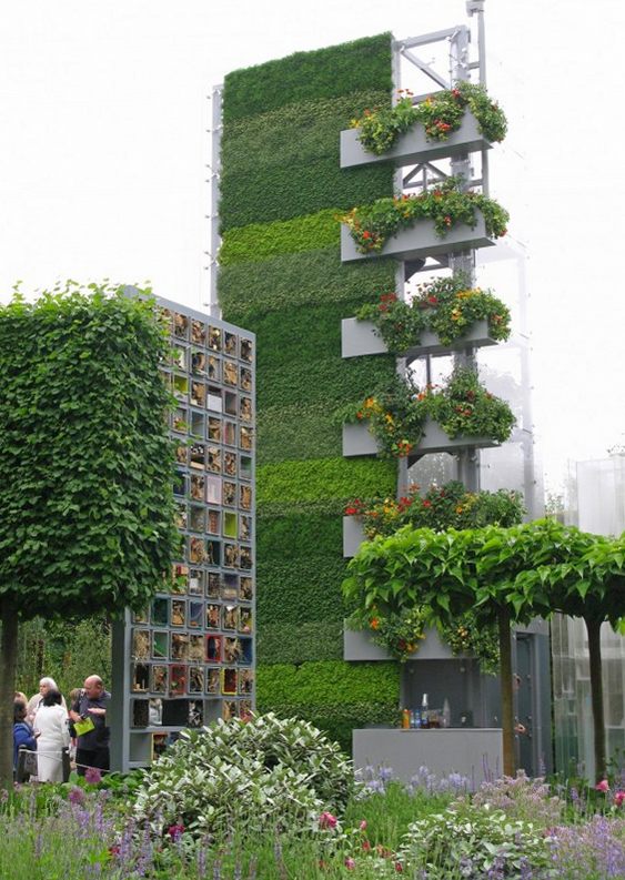 Prédio com hera Vegetação em edifício