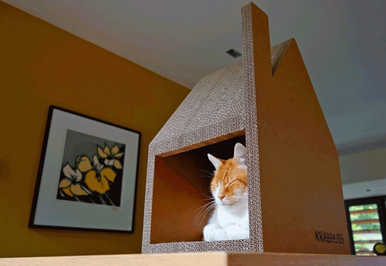 Casa para gatos
