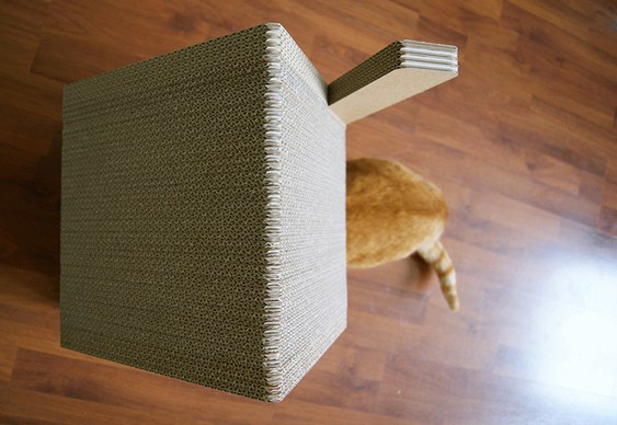 Casa para gatos