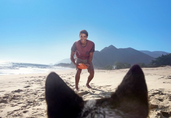 Câmera para cães