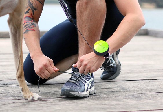 Coleira para cachorros
