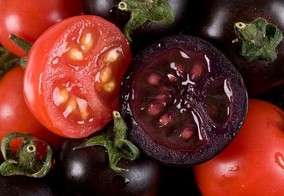 Black Tomatoes