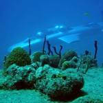 Resort oferece mergulho de submarino em paraíso tropical