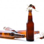 Cerveja atrai os mosquitos mas também protege contra a malária