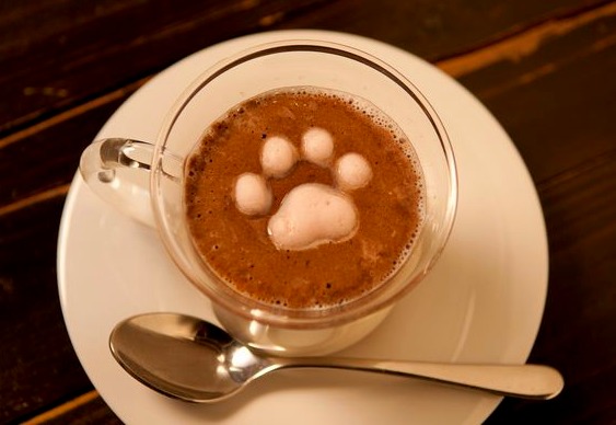 Pegada de marshmallow Gato adoçante