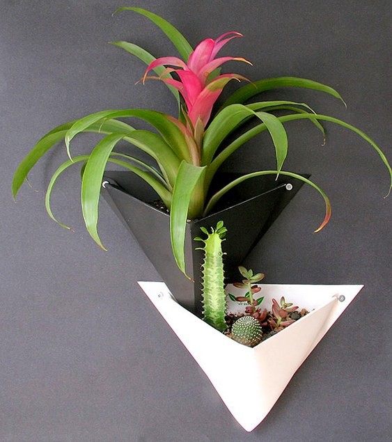 Vaso ecológico para plantas ornamentais