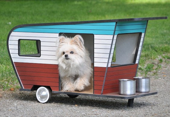 Reboque para camping com cães
