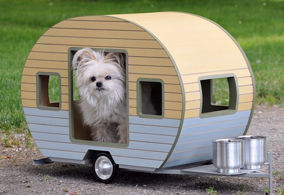 Reboque para camping com cães