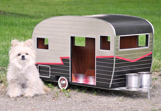 Reboque para camping com cães